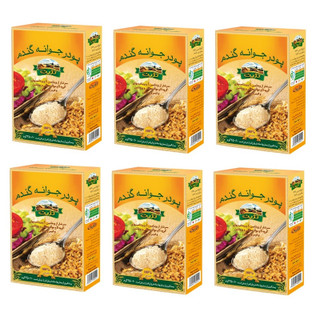 پودر جوانه گندم تژین - 250 گرم مجموعه 600عددی